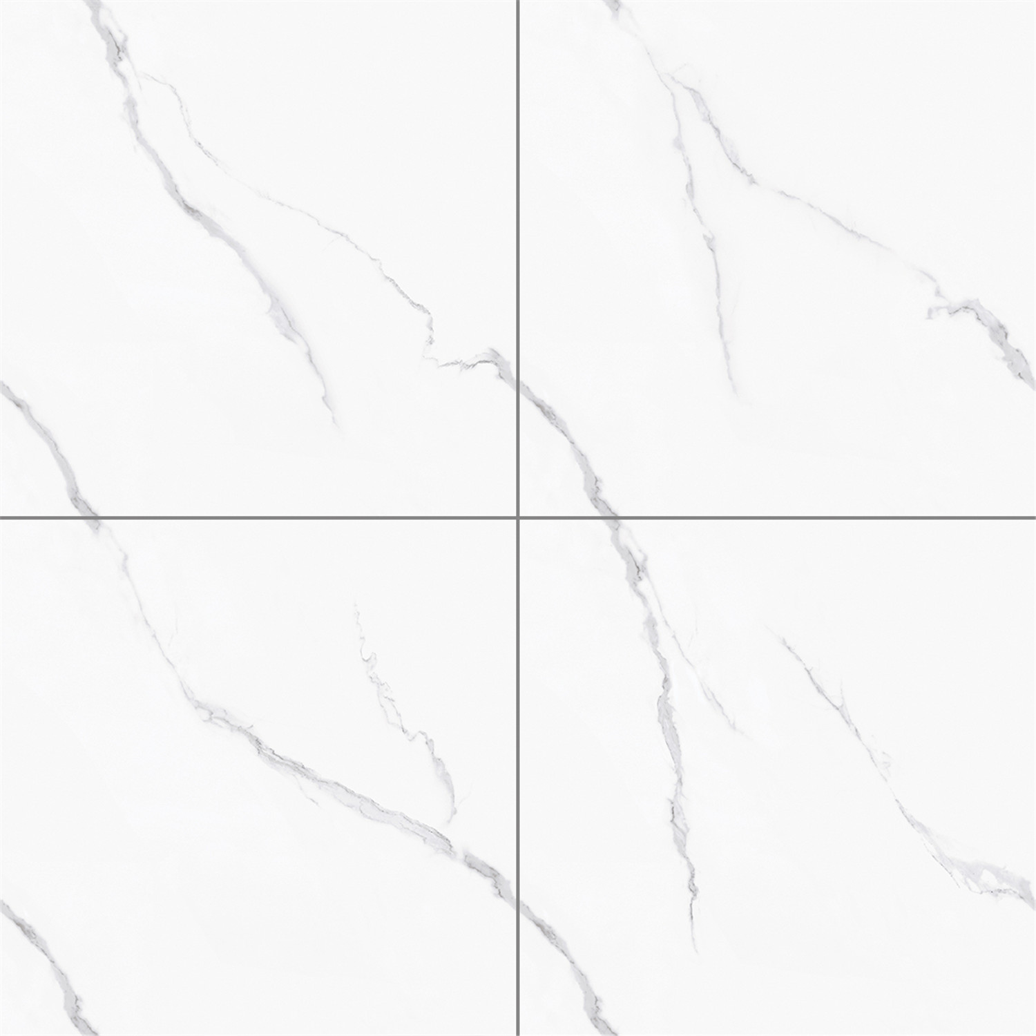 TM86663.jpg